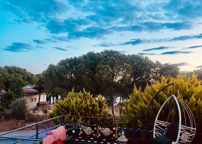Adil Didim